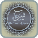 Surah Yassin APK