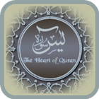 Surah Yassin أيقونة
