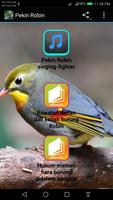 Pekin Robin Plakat
