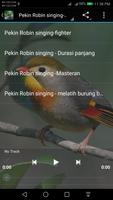 Pekin Robin screenshot 1