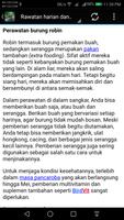 Pekin Robin Screenshot 2