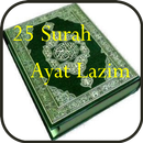 25 Surah Ayat Lazim APK