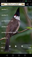Merbah Jambul 截图 1