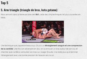 Top MMA Fight Techniques capture d'écran 1