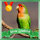 Kicau Lovebird 图标