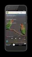 Kicau Lovebird 截图 3