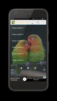 2 Schermata Kicau Lovebird