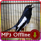 Suara Burung Kacer untuk Masteran Offline icône