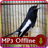 Suara Burung Kacer untuk Masteran Offline icon