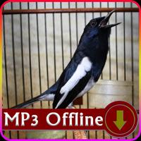 Suara Burung Kacer untuk Masteran Offline Affiche