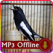 Suara Burung Offline untuk Terapi Kacer