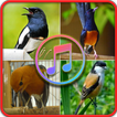 Suara Burung Offline - Masteran Suara Burung
