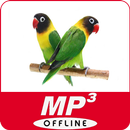 Suara Burung Lovebird mp3 untuk Masteran & Terapi APK