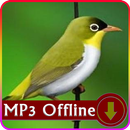 Suara Burung Pleci Offline - Pleci Terapi APK