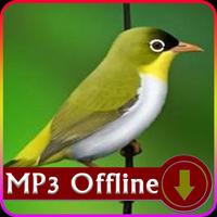 Suara Burung Pleci Offline - Pleci Terapi الملصق