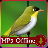 Suara Burung Pleci Offline - Pleci Terapi bài đăng