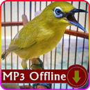 Suara Burung Pleci Offline - Master Suara Pleci APK