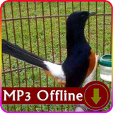 Suara Burung Murai Batu Offline Masteran & Terapi biểu tượng