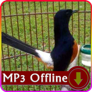 Suara Burung Murai Batu Offline Masteran & Terapi APK