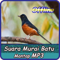 Suara Murai Batu Juara Offline