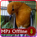 Suara Burung Offline untuk Terapi Anis Merah Ampuh APK