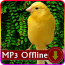 Masteran Suara Burung  Kenari Import Offline APK