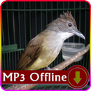 Suara Burung Kapas Tembak Offline untuk Masteran APK
