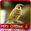 Suara Burung Gereja untuk Masteran Offline APK