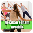 Senam Aerobik Terlengkap иконка