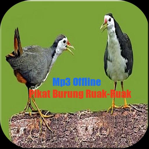 Suara Pikatan Burung Ruak Ruak For Android Apk Download
