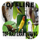 Masteran suara burung Lengkap Offline icono