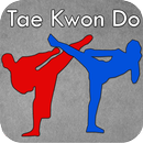 Learn Taekwondo Forms : Taekwondo Videos aplikacja