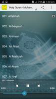Muhammad Ayyub Quran MP3 Offline capture d'écran 1