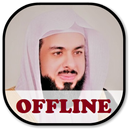 Khalid Al Jalil Offline Quran MP3 APK