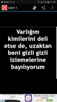 Sitemli Sözler скриншот 2
