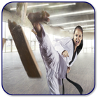Taekwondo WTF icône
