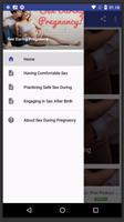 Sex During Pregnancy 海报