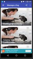 Massage a Dog screenshot 1