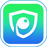 DSS - Digital Surveillance System icon