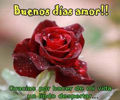 Buenos Días Amor con Rosas Rojas screenshot 3