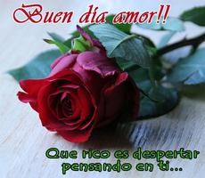 Buenos Días Amor con Rosas Rojas screenshot 1