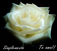 Te Amo Amor Ekran Görüntüsü 3