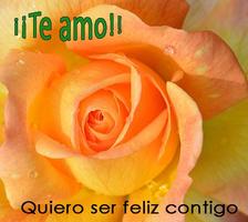 Te Amo Amor 스크린샷 1