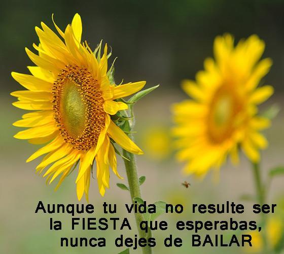 Lindas Reflexiones Positivas For Android Apk Download Lindas Reflexiones Positivas For Android Apk Download