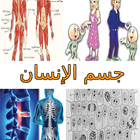 جسم الإنسان Human Body ไอคอน