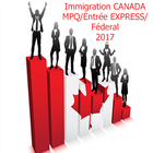 Immigration Canada 2017 icono