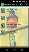 Suara Burung Murai Batu Mp3 โปสเตอร์