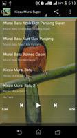 Suara Burung Murai Batu Mp3 截图 1