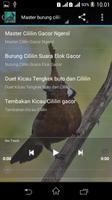 Master Burung Cililin Gacor screenshot 1