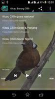 Master Burung Cililin Gacor capture d'écran 2